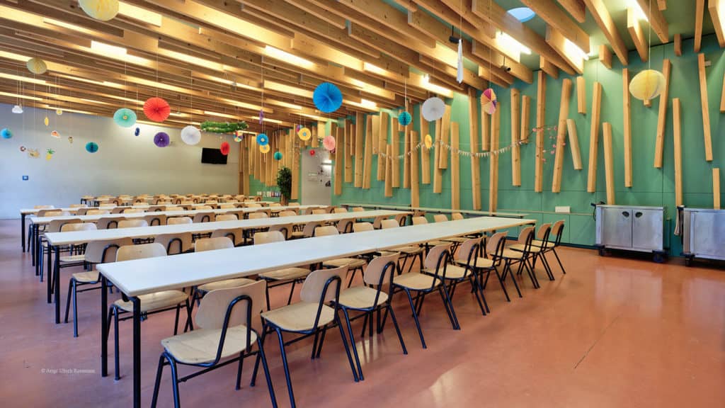 Timber Structure